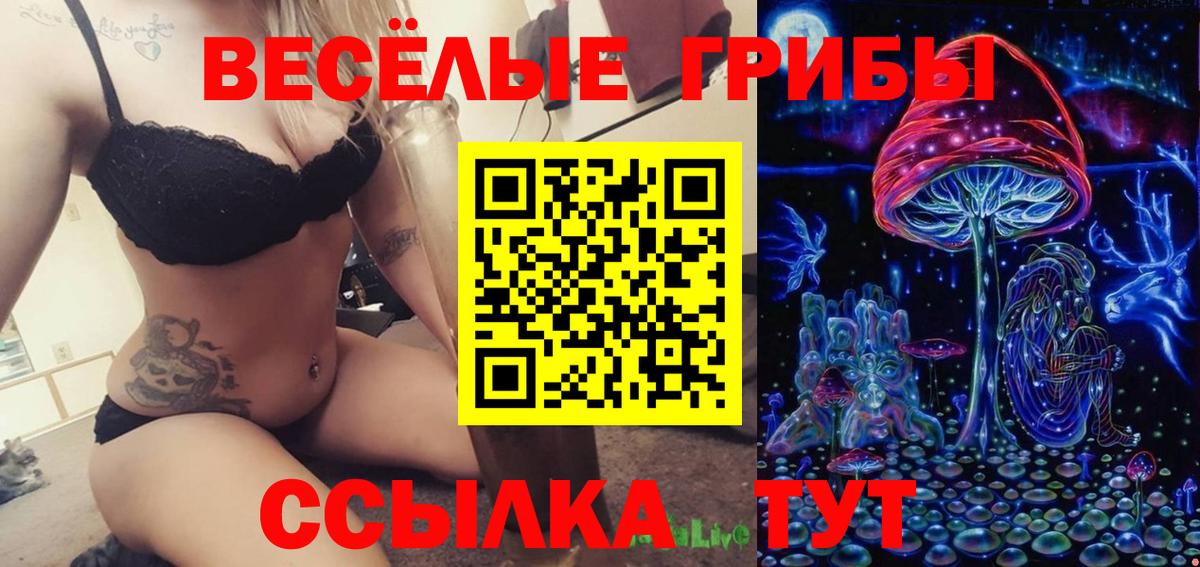 где можно купить наркотик  Вход с VPN  Туапсе  Псилоцибиновые грибы ЛСД 